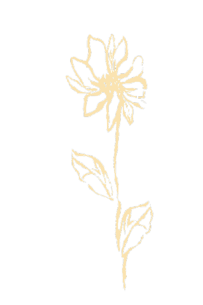 Hand-drawn flower illustration